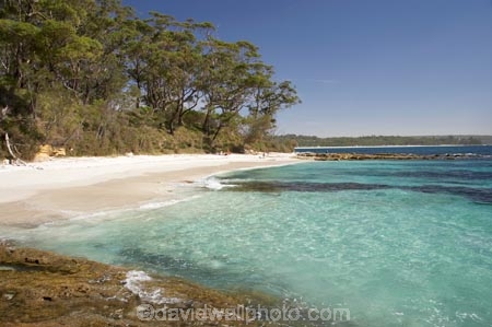 A.C.T.;ACT;aqua;aquamarine;Australasia;Australia;Australian-Capital-Territory;beach;beaches;blue;Booderee-N.P.;Booderee-National-Park;Booderee-NP;Bristol-Point;clean-water;clear-water;coast;coastal;coastline;coastlines;coasts;cobalt-blue;eucalypt;eucalypts;eucalyptus;eucalytis;foreshore;Green-Patch-Beach;Greenpatch-Beach;gum;gum-tree;gum-trees;gums;Jervis-Bay;Jervis-Bay-Territory;N.S.W.;New-South-Wales;NSW;ocean;oceans;sand;sandy;sea;seas;shore;shoreline;shorelines;shores;South-New-South-Wales;Southern-New-South-Wales;tree;trees;turquoise;water