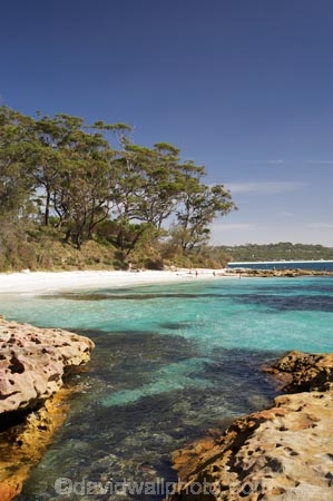 A.C.T.;ACT;aqua;aquamarine;Australasia;Australia;Australian-Capital-Territory;beach;beaches;blue;Booderee-N.P.;Booderee-National-Park;Booderee-NP;Bristol-Point;clean-water;clear-water;coast;coastal;coastline;coastlines;coasts;cobalt-blue;eucalypt;eucalypts;eucalyptus;eucalytis;foreshore;Green-Patch-Beach;Greenpatch-Beach;gum;gum-tree;gum-trees;gums;Jervis-Bay;Jervis-Bay-Territory;N.S.W.;New-South-Wales;NSW;ocean;oceans;sand;sandy;sea;seas;shore;shoreline;shorelines;shores;South-New-South-Wales;Southern-New-South-Wales;tree;trees;turquoise;water