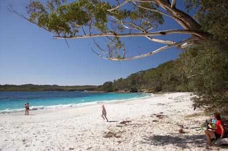 A.C.T.;ACT;aqua;aquamarine;Australasia;Australia;Australian-Capital-Territory;beach;beaches;blue;Booderee-N.P.;Booderee-National-Park;Booderee-NP;coast;coastal;coastline;cobalt-blue;eucalypt;eucalypts;eucalyptus;eucalytis;gum;gum-tree;gum-trees;gums;Jervis-Bay;Jervis-Bay-Territory;Murrays-Beach;Murrays-Beach;N.S.W.;New-South-Wales;NSW;ocean;oceans;people;person;sand;sandy;sea;seas;shore;shoreline;South-New-South-Wales;Southern-New-South-Wales;tree;trees;turquoise