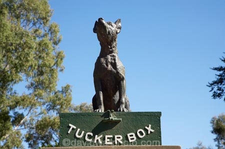 australasia;Australasian;Australia;australian;Dog-on-the-Tucker-Box;Dog-on-the-Tucker-Box-Statue;Dog-on-the-Tuckerbox;Dog-on-the-Tuckerbox-Statue;Gundagai;memorial;memorials;N.S.W.;New-South-Wales;NSW;South-New-South-Wales;South-West-Slopes;Southern-New-South-Wales;statue;statues