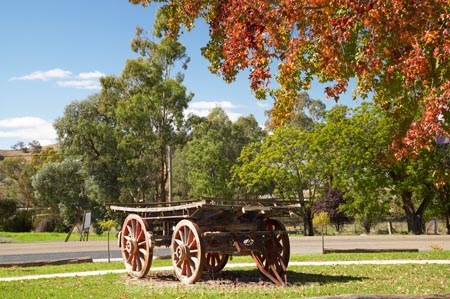 australasia;Australasian;Australia;australian;autuminal;autumn;autumn-colour;autumn-colours;autumnal;cart;carts;cartwheel;cartwheels;color;colors;colour;colours;deciduous;fall;Gundagai;heritage;historic;historical;history;leaf;leaves;liquid-amber;N.S.W.;New-South-Wales;NSW;old;pony-cart;season;seasonal;seasons;South-New-South-Wales;South-West-Slopes;Southern-New-South-Wales;spoked-wheel;spoked-wheels;tradition;traditional;tree;trees;waggon;waggons;wagon;wagon-wheel;wagon-wheels;wagons;wheel;wheels