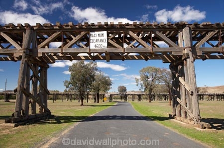 1903;australasia;Australasian;Australia;australian;bridge;bridges;Gundagai;heritage;historic;historic-bridge;historic-bridges;historical;historical-bridge;historical-bridges;history;Murrumbidgee-River-flood-plain;N.S.W.;New-South-Wales;NSW;old;old-bridge;old-bridges;Prince-Alfred-Bridge-Viaduct;rail-bridge;rail-bridges;railway-bridge;railway-bridges;railway-viaduct;railway-viaducts;road;roads;South-New-South-Wales;South-West-Slopes;Southern-New-South-Wales;timber-bridge;timber-bridges;timber-truss;timber-trusses;timber-viaduct;tradition;traditional;train-bridge;train-bridges;wooden-bridge;wooden-bridges
