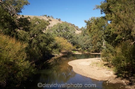 australasia;Australasian;Australia;australian;Brungle;Gundagai-_-Tumut-Rd;Gundagai-_-Tumut-Road;N.S.W.;New-South-Wales;NSW;river;rivers;South-New-South-Wales;South-West-Slopes;Southern-New-South-Wales;Tarrabandra;Tumut-River