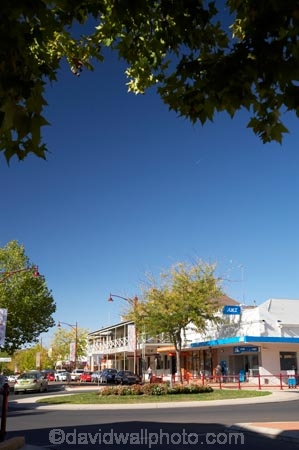 australasia;Australasian;Australia;australian;N.S.W.;New-South-Wales;NSW;roundabout;roundabouts;Snowy-Mountains;Snowy-Mountains-Drive;South-New-South-Wales;Southern-New-South-Wales;town-centre;Tumut;Wynyard-St;Wynyard-Street