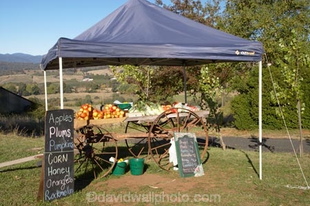 apples;australasia;Australasian;Australia;australian;Batlow;corn;food;food-stall;food-stalls;fresh-fruit;fresh-fruit-and-vegetables;Fruit-Stall;fruit-stalls;N.S.W.;New-South-Wales;NSW;produce-stall;produce-stalls;road_side-stall;roadside-stall;Snowy-Mountains;Snowy-Mountains-Drive;South-New-South-Wales;South-West-Slopes;Southern-New-South-Wales;stalls;vegetables