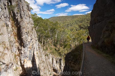 australasia;Australasian;Australia;australian;bush;Kosciuszko-N.P.;Kosciuszko-National-Park;Kosciuszko-NP;N.S.W.;New-South-Wales;NSW;people;person;Snowy-Mountains;Snowy-Mountains-Drive;Snowy-Mountains-Highway;Snowy-Mountains,;South-New-South-Wales;Southern-New-South-Wales;tourism;tourist;tourists;trees;visitior;visitors;walking-track;walking-tracks;Yarrangobilly-Caves