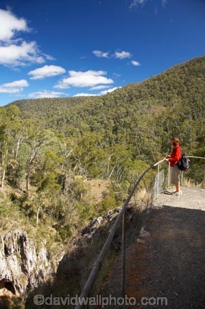 australasia;Australasian;Australia;australian;bush;Kosciuszko-N.P.;Kosciuszko-National-Park;Kosciuszko-NP;N.S.W.;New-South-Wales;NSW;people;person;Snowy-Mountains;Snowy-Mountains-Drive;Snowy-Mountains-Highway;Snowy-Mountains,;South-New-South-Wales;Southern-New-South-Wales;tourism;tourist;tourists;trees;visitior;visitors;walking-track;walking-tracks;Yarrangobilly-Caves