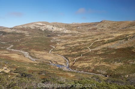 alpine;australasia;Australasian;Australia;australian;Great-Dividing-Range;Kosciuszko-N.P.;Kosciuszko-National-Park;Kosciuszko-NP;Main-Range-Track;mountains;N.S.W.;New-South-Wales;NSW;Snowy-Mountains;Snowy-River;South-New-South-Wales;Southern-New-South-Wales