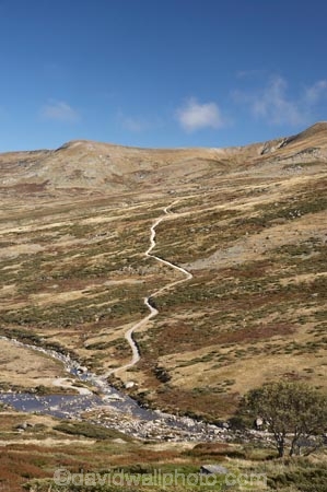 alpine;Australia;Great-Dividing-Range;Kosciuszko-N.P.;Kosciuszko-National-Park;Kosciuszko-NP;Main-Range-Track;mountains;N.S.W.;New-South-Wales;NSW;Snowy-Mountains;Snowy-River;South-New-South-Wales;Southern-New-South-Wales;valley;valleys