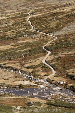 alpine;Australia;brook;brooks;creek;creeks;flow;Great-Dividing-Range;Kosciuszko-N.P.;Kosciuszko-National-Park;Kosciuszko-NP;Main-Range-Track;mountains;N.S.W.;New-South-Wales;NSW;Snowy-Mountains;Snowy-River;South-New-South-Wales;Southern-New-South-Wales;stream;streams;valley;valleys;water;wet
