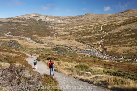 alpine;Australia;Great-Dividing-Range;hike;hiker;hikers;hiking;hiking-track;hiking-tracks;Kosciuszko-N.P.;Kosciuszko-National-Park;Kosciuszko-NP;Main-Range-Track;mountains;N.S.W.;New-South-Wales;NSW;people;person;Snowy-Mountains;Snowy-River;South-New-South-Wales;Southern-New-South-Wales;track;tracks;tramp;tramper;trampers;tramping;trek;treker;trekers;treking;trekker;trekkers;trekking;valley;valleys;walk;walker;walkers;walking;walking-track;walking-tracks