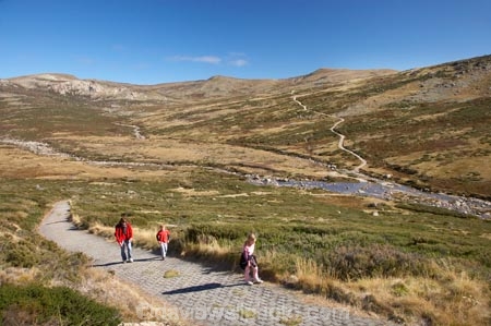 alpine;Australia;brook;brooks;creek;creeks;flow;Great-Dividing-Range;hike;hiker;hikers;hiking;hiking-track;hiking-tracks;Kosciuszko-N.P.;Kosciuszko-National-Park;Kosciuszko-NP;Main-Range-Track;mountains;N.S.W.;New-South-Wales;NSW;people;person;Snowy-Mountains;Snowy-River;South-New-South-Wales;Southern-New-South-Wales;stream;streams;track;tracks;tramp;tramper;trampers;tramping;trek;treker;trekers;treking;trekker;trekkers;trekking;valley;valleys;walk;walker;walkers;walking;walking-track;walking-tracks;water;wet