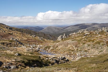 alpine;Australia;brook;brooks;creek;creeks;flow;Kosciuszko-N.P.;Kosciuszko-National-Park;Kosciuszko-NP;Kosciuszko-Walk;Mountain-Stream;mountain-streams;mountains;N.S.W.;New-South-Wales;NSW;Rams-Head-Range;Snowy-Mountains;Snowy-Mountains-Drive;South-New-South-Wales;Southern-New-South-Wales;stream;streams;water;wet