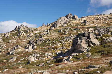 alpine;Australia;geological;geology;Kosciuszko-N.P.;Kosciuszko-National-Park;Kosciuszko-NP;Kosciuszko-Walk;mountains;N.S.W.;New-South-Wales;North-Rams-Head;NSW;Rams-Head-Range;rock;rock-formation;rock-formations;rock-outcrop;Rock-Outcrops;rock-tor;rock-torr;rock-torrs;rock-tors;rocks;Snowy-Mountains;Snowy-Mountains-Drive;South-New-South-Wales;Southern-New-South-Wales;stone