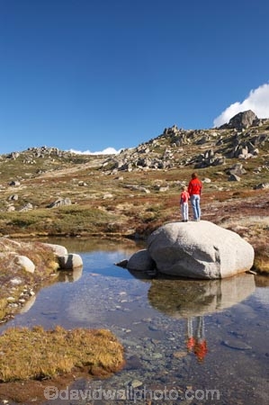 alpine;Australia;boulder;boulders;boy;boys;calm;child;children;families;family;hike;hiker;hikers;hiking;kid;kids;Kosciuszko-N.P.;Kosciuszko-National-Park;Kosciuszko-NP;Kosciuszko-Walk;little-boy;mother;mothers;mountain-stream;mountain-streams;mountains;N.S.W.;New-South-Wales;North-Rams-Head;NSW;people;person;placid;pond;ponds;pool;pools;quiet;Rams-Head-Range;reflection;reflections;rock;rocks;rocky;serene;small-boys;Small-Mountain-Tarn;smooth;Snowy-Mountains;Snowy-Mountains-Drive;South-New-South-Wales;Southern-New-South-Wales;still;tramp;tramper;trampers;tramping;tranquil;trek;treker;trekers;treking;trekker;trekkers;trekking;walk;walker;walkers;walking;water
