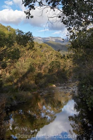 Alpine-Way;Australia;calm;eucalypt;eucalypts;eucalyptus;eucalytis;Geehi-Flats;gum;gum-tree;gum-trees;gums;Kosciuszko-N.P.;Kosciuszko-National-Park;Kosciuszko-NP;N.S.W.;New-South-Wales;NSW;placid;quiet;reflection;reflections;serene;smooth;Snowy-Mountains;Snowy-Mountains-Drive;South-New-South-Wales;Southern-New-South-Wales;still;Swampy-Plains-River;tranquil;tree;trees;water