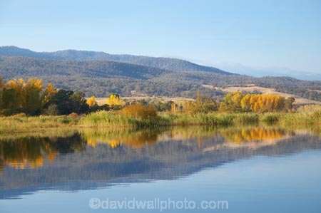 Alpine-Way;Australia;autuminal;autumn;autumn-colour;autumn-colours;autumnal;calm;color;colors;colour;colours;dam;dams;deciduous;fall;Khancoban;Khancoban-Dam;Khancoban-Pondage;Khancoban-Reservoir;lake;lakes;leaf;leaves;N.S.W.;New-South-Wales;NSW;placid;pondage;quiet;reflection;reflections;reservoir;reservoirs;season;seasonal;seasons;serene;smooth;Snowy-Mountains;Snowy-Mountains-Drive;Snowy-Mountains-Hydro_Electric-Scheme;Snowy-Mountains-Scheme;South-New-South-Wales;Southern-New-South-Wales;still;tranquil;tree;trees;water