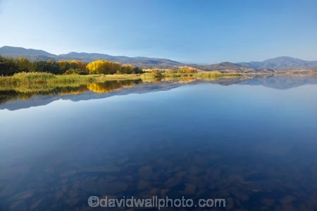 Alpine-Way;Australia;autuminal;autumn;autumn-colour;autumn-colours;autumnal;calm;color;colors;colour;colours;dam;dams;deciduous;fall;Khancoban;Khancoban-Dam;Khancoban-Pondage;Khancoban-Reservoir;lake;lakes;leaf;leaves;N.S.W.;New-South-Wales;NSW;placid;pondage;quiet;reflection;reflections;reservoir;reservoirs;season;seasonal;seasons;serene;smooth;Snowy-Mountains;Snowy-Mountains-Drive;Snowy-Mountains-Hydro_Electric-Scheme;Snowy-Mountains-Scheme;South-New-South-Wales;Southern-New-South-Wales;still;tranquil;tree;trees;water
