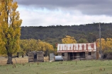 abandon;abandoned;agricultural;agriculture;Alpine-Way;australasia;Australasian;Australia;australian;autuminal;autumn;autumn-colour;autumn-colours;Autumn-Trees;autumnal;building;buildings;castaway;character;color;colors;colour;colours;Cooma;country;countryside;deciduous;derelict;Derelict-Building;dereliction;deserted;desolate;desolation;destruction;fall;farm;farming;farmland;farms;field;fields;heritage;historic;historic-building;historic-buildings;historical;historical-building;historical-buildings;history;horticulture;leaf;leaves;meadow;meadows;N.S.W.;neglect;neglected;New-South-Wales;NSW;old;old-fashioned;old_fashioned;paddock;paddocks;pasture;pastures;poplar;poplar-tree;poplar-trees;poplars;ruin;ruins;run-down;rural;rustic;season;seasonal;seasons;Snowy-Mountains;Snowy-Mountains-Drive;Snowy-Mountains-Highway;South-New-South-Wales;Southern-New-South-Wales;tradition;traditional;tree;trees;vintage