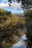 Alpine-Way;Australia;calm;eucalypt;eucalypts;eucalyptus;eucalytis;Geehi-Flats;gum;gum-tree;gum-trees;gums;Kosciuszko-N.P.;Kosciuszko-National-Park;Kosciuszko-NP;N.S.W.;New-South-Wales;NSW;placid;quiet;reflection;reflections;serene;smooth;Snowy-Mountains;Snowy-Mountains-Drive;South-New-South-Wales;Southern-New-South-Wales;still;Swampy-Plains-River;tranquil;tree;trees;water