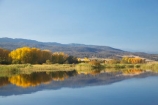 Alpine-Way;Australia;autuminal;autumn;autumn-colour;autumn-colours;autumnal;calm;color;colors;colour;colours;dam;dams;deciduous;fall;Khancoban;Khancoban-Dam;Khancoban-Pondage;Khancoban-Reservoir;lake;lakes;leaf;leaves;N.S.W.;New-South-Wales;NSW;placid;pondage;quiet;reflection;reflections;reservoir;reservoirs;season;seasonal;seasons;serene;smooth;Snowy-Mountains;Snowy-Mountains-Drive;Snowy-Mountains-Hydro_Electric-Scheme;Snowy-Mountains-Scheme;South-New-South-Wales;Southern-New-South-Wales;still;tranquil;tree;trees;water