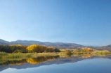 Alpine-Way;Australia;autuminal;autumn;autumn-colour;autumn-colours;autumnal;calm;color;colors;colour;colours;dam;dams;deciduous;fall;Khancoban;Khancoban-Dam;Khancoban-Pondage;Khancoban-Reservoir;lake;lakes;leaf;leaves;N.S.W.;New-South-Wales;NSW;placid;pondage;quiet;reflection;reflections;reservoir;reservoirs;season;seasonal;seasons;serene;smooth;Snowy-Mountains;Snowy-Mountains-Drive;Snowy-Mountains-Hydro_Electric-Scheme;Snowy-Mountains-Scheme;South-New-South-Wales;Southern-New-South-Wales;still;tranquil;tree;trees;water