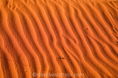 Anugu;arid;Australasia;Australia;Australian;Australian-Desert;Australian-Deserts;back-country;backcountry;Desert;Deserts;dune;dunes;N.T.;National-Park;National-Parks;Northern-Territory;NT;Outback;red-centre;ripple;ripples;sand;sand-dune;sand-dunes;sand-hill;sand-hills;sand_dune;sand_dunes;sand_hill;sand_hills;sanddune;sanddunes;sandhill;sandhills;sandy;The-Outback;Uluru-_-Kata-Tjuta-National-Park;Uluru-_-Kata-Tjuta-World-Heritage-Area;UNESCO;Unesco-world-heritage-area;World-Heritage-Area;World-Heritage-Areas