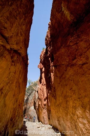 Alice-Springs;Australasia;Australia;Australian;Australian-Outback;canyon;canyons;Central-Australia;chasm;chasms;gorge;gorges;N.T.;Northern-Territory;NT;Outback;red;rock;slot-canyon;slot-canyons;Standley-Canyon;Standley-Gorge;Standlley-Chasm;tourism;tourist;tourists;travel;West-MacDonnell-N.P.;West-MacDonnell-National-Park;West-MacDonnell-NP;West-MacDonnell-Ranges;West-MacDonnells-N.P.;West-MacDonnells-National-Park;West-MacDonnells-NP;West-Macs