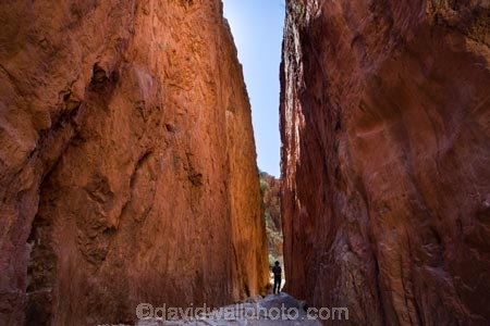 Alice-Springs;Australasia;Australia;Australian;Australian-Outback;canyon;canyons;Central-Australia;chasm;chasms;gorge;gorges;N.T.;Northern-Territory;NT;Outback;red;rock;slot-canyon;slot-canyons;Standley-Canyon;Standley-Gorge;Standlley-Chasm;tourism;tourist;tourists;travel;West-MacDonnell-N.P.;West-MacDonnell-National-Park;West-MacDonnell-NP;West-MacDonnell-Ranges;West-MacDonnells-N.P.;West-MacDonnells-National-Park;West-MacDonnells-NP;West-Macs