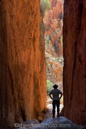 Alice-Springs;Australasia;Australia;Australian;Australian-Outback;canyon;canyons;Central-Australia;chasm;chasms;gorge;gorges;N.T.;Northern-Territory;NT;Outback;red;rock;slot-canyon;slot-canyons;Standley-Canyon;Standley-Gorge;Standlley-Chasm;tourism;tourist;tourists;travel;West-MacDonnell-N.P.;West-MacDonnell-National-Park;West-MacDonnell-NP;West-MacDonnell-Ranges;West-MacDonnells-N.P.;West-MacDonnells-National-Park;West-MacDonnells-NP;West-Macs