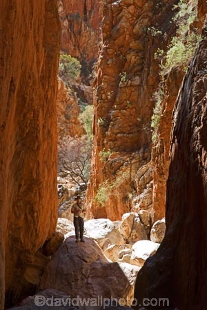 Alice-Springs;Australasia;Australia;Australian;Australian-Outback;canyon;canyons;Central-Australia;chasm;chasms;gorge;gorges;N.T.;Northern-Territory;NT;Outback;red;rock;slot-canyon;slot-canyons;Standley-Canyon;Standley-Gorge;Standlley-Chasm;tourism;tourist;tourists;travel;West-MacDonnell-N.P.;West-MacDonnell-National-Park;West-MacDonnell-NP;West-MacDonnell-Ranges;West-MacDonnells-N.P.;West-MacDonnells-National-Park;West-MacDonnells-NP;West-Macs