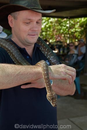 Adelaide-River;Australia;Australian;danger;dangerous;dangerous-wildlife;frightened;Gagadju;hlding-snake;Kakadu;Kakadu-N.P.;Kakadu-National-Park;Kakadu-NP;N.T.;nervous;Northern-Territory;NT;python;pythons;reptile;reptiles;scared;scary;snake;snakes;Top-End;tourism;tourist;tourists;UN-world-heritage-area;UN-world-heritage-site;UNESCO-World-Heritage-area;UNESCO-World-Heritage-Site;united-nations-world-heritage-area;united-nations-world-heritage-site;wildlife;world-heritage;world-heritage-area;world-heritage-areas;World-Heritage-Park;World-Heritage-site;World-Heritage-Sites