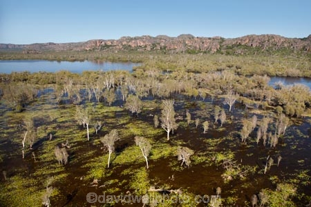 aerial;aerial-photo;aerial-photograph;aerial-photographs;aerial-photography;aerial-photos;aerial-view;aerial-views;aerials;Arnhem-Land;Australia;Australian;billabong;billabongs;East-Alligator-River;flood-plain;flood-plains;floodplain;floodplains;Gagadju;Kakadu;Kakadu-billabong;Kakadu-billabongs;Kakadu-flood-plain;Kakadu-flood-plains;Kakadu-floodplain;Kakadu-floodplains;Kakadu-N.P.;Kakadu-National-Park;Kakadu-NP;Kakadu-wetland;Kakadu-wetlands;Mikinj-Valley;N.T.;Northern-Territory;NT;rainy-season;seasonal;Top-End;UN-world-heritage-area;UN-world-heritage-site;UNESCO-World-Heritage-area;UNESCO-World-Heritage-Site;united-nations-world-heritage-area;united-nations-world-heritage-site;wet-season;wetland;wetlands;wilderness;wilderness-area;wilderness-areas;world-heritage;world-heritage-area;world-heritage-areas;World-Heritage-Park;World-Heritage-site;World-Heritage-Sites
