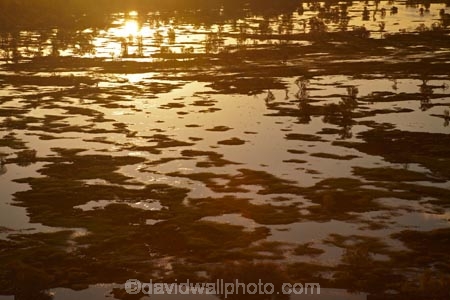 aerial;aerial-photo;aerial-photograph;aerial-photographs;aerial-photography;aerial-photos;aerial-view;aerial-views;aerials;Australia;Australian;billabong;billabongs;flood-plain;flood-plains;floodplain;floodplains;Gagadju;Kakadu;Kakadu-billabong;Kakadu-billabongs;Kakadu-flood-plain;Kakadu-flood-plains;Kakadu-floodplain;Kakadu-floodplains;Kakadu-N.P.;Kakadu-National-Park;Kakadu-NP;Kakadu-wetland;Kakadu-wetlands;Magela-Creek;Magela-Creek-System;Magela-Creek-Wetlands;Magela-Wetlands;N.T.;Northern-Territory;NT;rainy-season;seasonal;Top-End;UN-world-heritage-area;UN-world-heritage-site;UNESCO-World-Heritage-area;UNESCO-World-Heritage-Site;united-nations-world-heritage-area;united-nations-world-heritage-site;wet-season;wetland;wetlands;wilderness;wilderness-area;wilderness-areas;world-heritage;world-heritage-area;world-heritage-areas;World-Heritage-Park;World-Heritage-site;World-Heritage-Sites