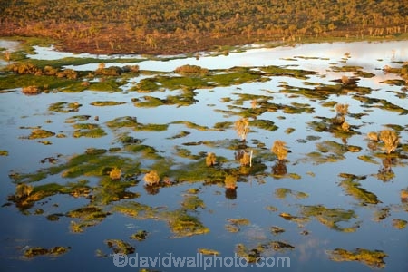 aerial;aerial-photo;aerial-photograph;aerial-photographs;aerial-photography;aerial-photos;aerial-view;aerial-views;aerials;Australia;Australian;billabong;billabongs;flood-plain;flood-plains;floodplain;floodplains;Gagadju;Kakadu;Kakadu-billabong;Kakadu-billabongs;Kakadu-flood-plain;Kakadu-flood-plains;Kakadu-floodplain;Kakadu-floodplains;Kakadu-N.P.;Kakadu-National-Park;Kakadu-NP;Kakadu-wetland;Kakadu-wetlands;Magela-Creek;Magela-Creek-System;Magela-Creek-Wetlands;Magela-Wetlands;N.T.;Northern-Territory;NT;rainy-season;seasonal;Top-End;UN-world-heritage-area;UN-world-heritage-site;UNESCO-World-Heritage-area;UNESCO-World-Heritage-Site;united-nations-world-heritage-area;united-nations-world-heritage-site;wet-season;wetland;wetlands;wilderness;wilderness-area;wilderness-areas;world-heritage;world-heritage-area;world-heritage-areas;World-Heritage-Park;World-Heritage-site;World-Heritage-Sites