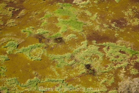 aerial;aerial-photo;aerial-photograph;aerial-photographs;aerial-photography;aerial-photos;aerial-view;aerial-views;aerials;Australia;Australian;billabong;billabongs;flood-plain;flood-plains;floodplain;floodplains;Gagadju;Kakadu;Kakadu-billabong;Kakadu-billabongs;Kakadu-flood-plain;Kakadu-flood-plains;Kakadu-floodplain;Kakadu-floodplains;Kakadu-N.P.;Kakadu-National-Park;Kakadu-NP;Kakadu-wetland;Kakadu-wetlands;Magela-Creek;Magela-Creek-System;Magela-Creek-Wetlands;Magela-Wetlands;N.T.;Northern-Territory;NT;rainy-season;seasonal;Top-End;UN-world-heritage-area;UN-world-heritage-site;UNESCO-World-Heritage-area;UNESCO-World-Heritage-Site;united-nations-world-heritage-area;united-nations-world-heritage-site;wet-season;wetland;wetlands;wilderness;wilderness-area;wilderness-areas;world-heritage;world-heritage-area;world-heritage-areas;World-Heritage-Park;World-Heritage-site;World-Heritage-Sites