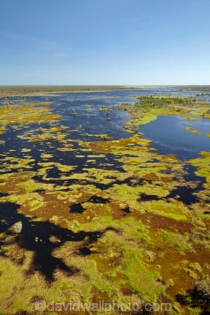 aerial;aerial-photo;aerial-photograph;aerial-photographs;aerial-photography;aerial-photos;aerial-view;aerial-views;aerials;Australia;Australian;billabong;billabongs;flood-plain;flood-plains;floodplain;floodplains;Gagadju;Kakadu;Kakadu-billabong;Kakadu-billabongs;Kakadu-flood-plain;Kakadu-flood-plains;Kakadu-floodplain;Kakadu-floodplains;Kakadu-N.P.;Kakadu-National-Park;Kakadu-NP;Kakadu-wetland;Kakadu-wetlands;Magela-Creek;Magela-Creek-System;Magela-Creek-Wetlands;Magela-Wetlands;N.T.;Northern-Territory;NT;rainy-season;seasonal;Top-End;UN-world-heritage-area;UN-world-heritage-site;UNESCO-World-Heritage-area;UNESCO-World-Heritage-Site;united-nations-world-heritage-area;united-nations-world-heritage-site;wet-season;wetland;wetlands;wilderness;wilderness-area;wilderness-areas;world-heritage;world-heritage-area;world-heritage-areas;World-Heritage-Park;World-Heritage-site;World-Heritage-Sites