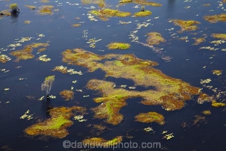 aerial;aerial-photo;aerial-photograph;aerial-photographs;aerial-photography;aerial-photos;aerial-view;aerial-views;aerials;Australia;Australian;billabong;billabongs;flood-plain;flood-plains;floodplain;floodplains;Gagadju;Kakadu;Kakadu-billabong;Kakadu-billabongs;Kakadu-flood-plain;Kakadu-flood-plains;Kakadu-floodplain;Kakadu-floodplains;Kakadu-N.P.;Kakadu-National-Park;Kakadu-NP;Kakadu-wetland;Kakadu-wetlands;Magela-Creek;Magela-Creek-System;Magela-Creek-Wetlands;Magela-Wetlands;N.T.;Northern-Territory;NT;rainy-season;seasonal;Top-End;UN-world-heritage-area;UN-world-heritage-site;UNESCO-World-Heritage-area;UNESCO-World-Heritage-Site;united-nations-world-heritage-area;united-nations-world-heritage-site;wet-season;wetland;wetlands;wilderness;wilderness-area;wilderness-areas;world-heritage;world-heritage-area;world-heritage-areas;World-Heritage-Park;World-Heritage-site;World-Heritage-Sites