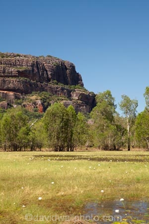 Anbangbang;Anbangbang-Billabong;Anbangbang-wetlands;Australia;Australian;billabong;billabongs;Burrunggui;flood-plain;flood-plains;floodplain;floodplains;Gagadju;geological;geology;Kakadu;Kakadu-billabong;Kakadu-billabongs;Kakadu-flood-plain;Kakadu-flood-plains;Kakadu-floodplain;Kakadu-floodplains;Kakadu-N.P.;Kakadu-National-Park;Kakadu-NP;Kakadu-wetland;Kakadu-wetlands;N.T.;Northern-Territory;Nourlangie;Nourlangie-Rock;NT;rock;rock-formation;rock-formations;rock-outcrop;rock-outcrops;rock-tor;rock-torr;rock-torrs;rock-tors;rocks;stone;swamp;Top-End;UN-world-heritage-area;UN-world-heritage-site;UNESCO-World-Heritage-area;UNESCO-World-Heritage-Site;united-nations-world-heritage-area;united-nations-world-heritage-site;wetland;wetlands;world-heritage;world-heritage-area;world-heritage-areas;World-Heritage-Park;World-Heritage-site;World-Heritage-Sites