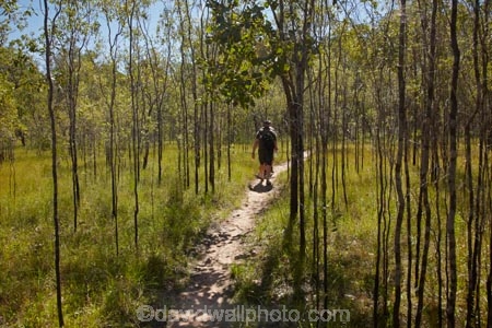 Australia;Australian;bush;eucalypt;eucalypts;eucalyptus;eucalytis;forest;Gagadju;gum;gum-tree;gum-trees;gums;hike;hiker;hikers;hiking;hiking-track;hiking-tracks;Kakadu;Kakadu-N.P.;Kakadu-National-Park;Kakadu-NP;male;man;men;N.T.;Nawurlandja-Lookout;Northern-Territory;Nourlangie;NT;people;person;Top-End;tourism;tourist;tourists;track;tracks;tramp;tramping-tack;tree;trees;trek;treker;trekers;treking;trekker;trekkers;trekking;UN-world-heritage-area;UN-world-heritage-site;UNESCO-World-Heritage-area;UNESCO-World-Heritage-Site;united-nations-world-heritage-area;united-nations-world-heritage-site;walk;walker;walkers;walking;walking-track;walking-tracks;world-heritage;world-heritage-area;world-heritage-areas;World-Heritage-Park;World-Heritage-site;World-Heritage-Sites