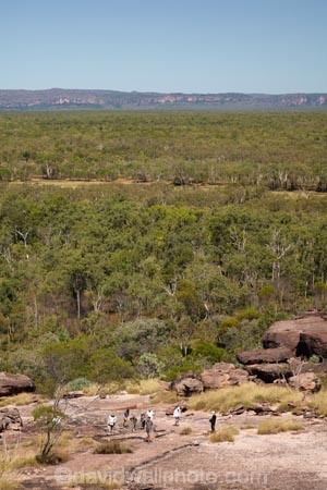 Anbangbang;Anbangbang-Billabong;Australia;Australian;bush;Gagadju;Kakadu;Kakadu-N.P.;Kakadu-National-Park;Kakadu-NP;N.T.;Nawurlandja-Lookout;Northern-Territory;Nourlangie;NT;people;person;Top-End;tourism;tourist;tourists;UN-world-heritage-area;UN-world-heritage-site;UNESCO-World-Heritage-area;UNESCO-World-Heritage-Site;united-nations-world-heritage-area;united-nations-world-heritage-site;world-heritage;world-heritage-area;world-heritage-areas;World-Heritage-Park;World-Heritage-site;World-Heritage-Sites