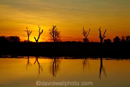 Australia;Australian;billabong;billabongs;calm;dusk;evening;flood-plain;flood-plains;floodplain;floodplains;Gagadju;Gagudju-Dreaming;Kakadu;Kakadu-billabong;Kakadu-billabongs;Kakadu-flood-plain;Kakadu-flood-plains;Kakadu-floodplain;Kakadu-floodplains;Kakadu-N.P.;Kakadu-National-Park;Kakadu-NP;Kakadu-wetland;Kakadu-wetlands;N.T.;nightfall;Northern-Territory;NT;orange;placid;quiet;reflection;reflections;serene;sky;smooth;still;sunset;sunsets;Top-End;tranquil;twilight;UN-world-heritage-area;UN-world-heritage-site;UNESCO-World-Heritage-area;UNESCO-World-Heritage-Site;united-nations-world-heritage-area;united-nations-world-heritage-site;water;wetland;wetlands;wilderness;wilderness-area;wilderness-areas;world-heritage;world-heritage-area;world-heritage-areas;World-Heritage-Park;World-Heritage-site;World-Heritage-Sites;Yellow-Water;Yellow-Water-Billabong;Yellow-Water-Wetland;Yellow-Water-Wetlands