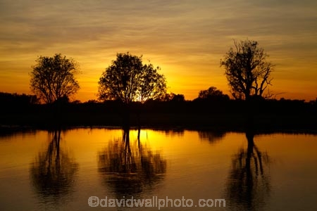 Australia;Australian;billabong;billabongs;break-of-day;calm;dawn;dawning;daybreak;first-light;flood-plain;flood-plains;floodplain;floodplains;Gagadju;Gagudju-Dreaming;Kakadu;Kakadu-billabong;Kakadu-billabongs;Kakadu-flood-plain;Kakadu-flood-plains;Kakadu-floodplain;Kakadu-floodplains;Kakadu-N.P.;Kakadu-National-Park;Kakadu-NP;Kakadu-wetland;Kakadu-wetlands;morning;N.T.;Northern-Territory;NT;orange;placid;quiet;reflection;reflections;serene;smooth;still;sunrise;sunrises;sunup;Top-End;tranquil;twilight;UN-world-heritage-area;UN-world-heritage-site;UNESCO-World-Heritage-area;UNESCO-World-Heritage-Site;united-nations-world-heritage-area;united-nations-world-heritage-site;water;wetland;wetlands;wilderness;wilderness-area;wilderness-areas;world-heritage;world-heritage-area;world-heritage-areas;World-Heritage-Park;World-Heritage-site;World-Heritage-Sites;Yellow-Water;Yellow-Water-Billabong;Yellow-Water-Wetland;Yellow-Water-Wetlands