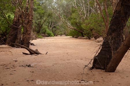 Australia;Australian;dry-riverbed;dry-riverbeds;Gagadju;Kakadu;Kakadu-N.P.;Kakadu-National-Park;Kakadu-NP;N.T.;Northern-Territory;NT;river;rivers;sand;sandy;South-Alligator-River;Top-End;UN-world-heritage-area;UN-world-heritage-site;UNESCO-World-Heritage-area;UNESCO-World-Heritage-Site;united-nations-world-heritage-area;united-nations-world-heritage-site;world-heritage;world-heritage-area;world-heritage-areas;World-Heritage-Park;World-Heritage-site;World-Heritage-Sites