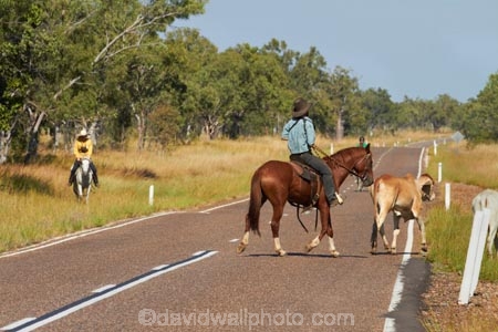 akubra;Australasia;Australia;Australian;Australian-Outback;back-country;backcountry;brahman-cows;brahmans;cattle;cattle-muster;cattle-mustering;cow;cowboy;cowboys;cows;driving;highway;highways;horse;horseback;horses;muster;mustering;musters;N.T.;Northern-Territory;NT;open-road;open-roads;Outback;road;road-trip;roads;Top-End;transport;transportation;travel;traveling;travelling;trip;Victoria-Highway