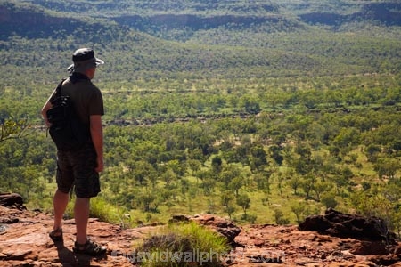 Australasia;Australia;Australian;Australian-Outback;back-country;backcountry;backwoods;country;countryside;escarpment;excarpments;geographic;geography;Gregory-N.P;Gregory-National-Park;Gregory-NP;hike;hiker;hikers;hiking;hiking-track;hiking-tracks;Jutpurra-N.P;Jutpurra-National-Park;Jutpurra-NP;N.T.;national-parks;Northern-Territory;NT;Outback;remote;remoteness;rural;Top-End;tramp;tramper;trampers;tramping;tramping-tack;tramping-tracks;trek;treker;trekers;treking;trekker;trekkers;trekking;Victoria-Highway;Victoria-River;view;views;walk;walker;walkers;walking;walking-track;walking-tracks;wilderness