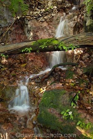 Australasia;Australia;cascade;cascades;creek;creeks;falls;Litchfield-N.P.;Litchfield-National-Park;Litchfield-NP;N.T.;natural;nature;Northern-Territory;NT;scene;scenic;stream;streams;Top-End;Wangi-Falls;water;water-fall;water-falls;waterfall;waterfalls;wet
