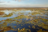 aerial;aerial-photo;aerial-photograph;aerial-photographs;aerial-photography;aerial-photos;aerial-view;aerial-views;aerials;Australia;Australian;billabong;billabongs;flood-plain;flood-plains;floodplain;floodplains;Gagadju;Kakadu;Kakadu-billabong;Kakadu-billabongs;Kakadu-flood-plain;Kakadu-flood-plains;Kakadu-floodplain;Kakadu-floodplains;Kakadu-N.P.;Kakadu-National-Park;Kakadu-NP;Kakadu-wetland;Kakadu-wetlands;Magela-Creek;Magela-Creek-System;Magela-Creek-Wetlands;Magela-Wetlands;N.T.;Northern-Territory;NT;rainy-season;seasonal;Top-End;UN-world-heritage-area;UN-world-heritage-site;UNESCO-World-Heritage-area;UNESCO-World-Heritage-Site;united-nations-world-heritage-area;united-nations-world-heritage-site;wet-season;wetland;wetlands;wilderness;wilderness-area;wilderness-areas;world-heritage;world-heritage-area;world-heritage-areas;World-Heritage-Park;World-Heritage-site;World-Heritage-Sites