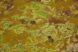 aerial;aerial-photo;aerial-photograph;aerial-photographs;aerial-photography;aerial-photos;aerial-view;aerial-views;aerials;Australia;Australian;billabong;billabongs;flood-plain;flood-plains;floodplain;floodplains;Gagadju;Kakadu;Kakadu-billabong;Kakadu-billabongs;Kakadu-flood-plain;Kakadu-flood-plains;Kakadu-floodplain;Kakadu-floodplains;Kakadu-N.P.;Kakadu-National-Park;Kakadu-NP;Kakadu-wetland;Kakadu-wetlands;Magela-Creek;Magela-Creek-System;Magela-Creek-Wetlands;Magela-Wetlands;N.T.;Northern-Territory;NT;rainy-season;seasonal;Top-End;UN-world-heritage-area;UN-world-heritage-site;UNESCO-World-Heritage-area;UNESCO-World-Heritage-Site;united-nations-world-heritage-area;united-nations-world-heritage-site;wet-season;wetland;wetlands;wilderness;wilderness-area;wilderness-areas;world-heritage;world-heritage-area;world-heritage-areas;World-Heritage-Park;World-Heritage-site;World-Heritage-Sites