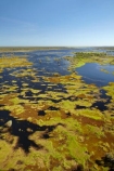 aerial;aerial-photo;aerial-photograph;aerial-photographs;aerial-photography;aerial-photos;aerial-view;aerial-views;aerials;Australia;Australian;billabong;billabongs;flood-plain;flood-plains;floodplain;floodplains;Gagadju;Kakadu;Kakadu-billabong;Kakadu-billabongs;Kakadu-flood-plain;Kakadu-flood-plains;Kakadu-floodplain;Kakadu-floodplains;Kakadu-N.P.;Kakadu-National-Park;Kakadu-NP;Kakadu-wetland;Kakadu-wetlands;Magela-Creek;Magela-Creek-System;Magela-Creek-Wetlands;Magela-Wetlands;N.T.;Northern-Territory;NT;rainy-season;seasonal;Top-End;UN-world-heritage-area;UN-world-heritage-site;UNESCO-World-Heritage-area;UNESCO-World-Heritage-Site;united-nations-world-heritage-area;united-nations-world-heritage-site;wet-season;wetland;wetlands;wilderness;wilderness-area;wilderness-areas;world-heritage;world-heritage-area;world-heritage-areas;World-Heritage-Park;World-Heritage-site;World-Heritage-Sites
